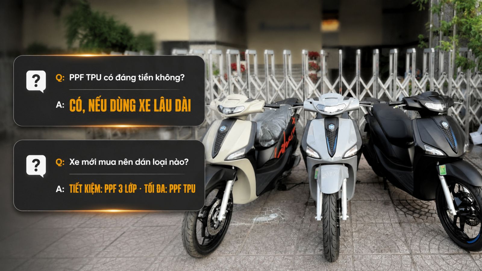 So sánh keo PPF TPU - Keo 3 lớp PPF và Keo 2 lớp/3 lớp dán xe máy