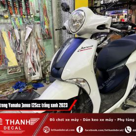 Dán keo trong Yamaha Janus 125cc trắng xanh 2023